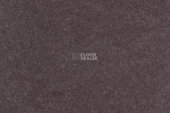 Forbo Marmoleum Solid Walton 3353-335335 eggplant purple фото 1 | FLOORDEALER
