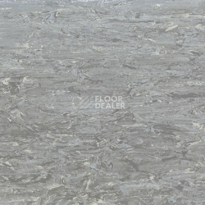 Линолеум Tarkett Alfa Standard Alfa 104 фото 1 | FLOORDEALER