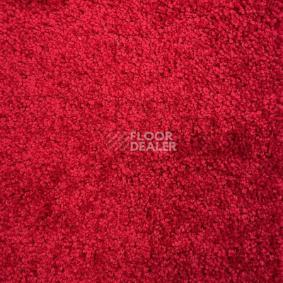 Ковролин Urgaz Либерти 10095 фото 1 | FLOORDEALER