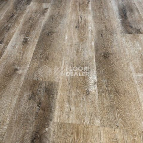 Alpine Floor Easy Line 3мм ДУБ МЕДОВЫЙ ECO 3-17 фото 5 | FLOORDEALER