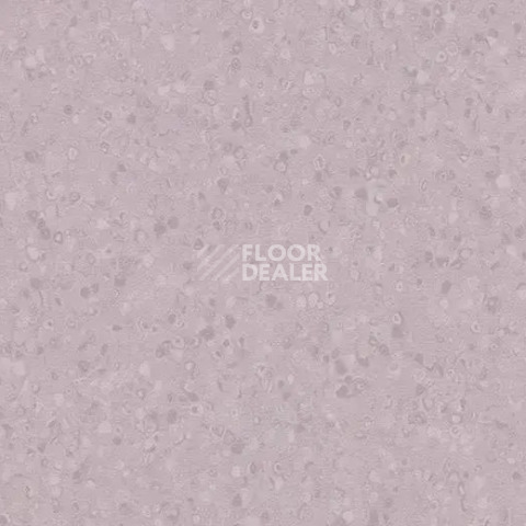 Линолеум Forbo Sphera Element 50070 soft violet фото 1 | FLOORDEALER
