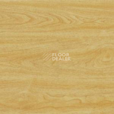 Линолеум Polyflor Expona Wood 6139 фото 1 | FLOORDEALER