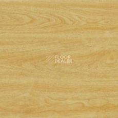 Линолеум Polyflor Expona Wood 6139 фото 1 | FLOORDEALER