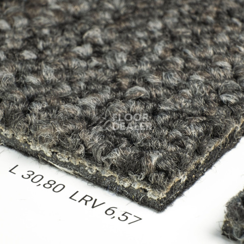 Desso Desert 9532 фото 5 | FLOORDEALER