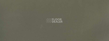 Плинтус Dollken Ts60 Life Тop 1245 фото 2 | FLOORDEALER