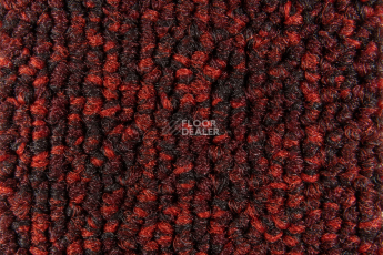 Balsan Season - Summer / Winter 590 фото 2 | FLOORDEALER