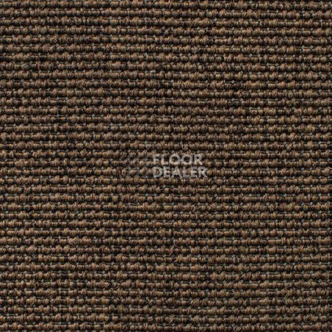 Ковролин Carpet Concept Eco Iqu 60238 фото 1 | FLOORDEALER