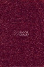 Ковролин AW Tossa 10 фото 1 | FLOORDEALER