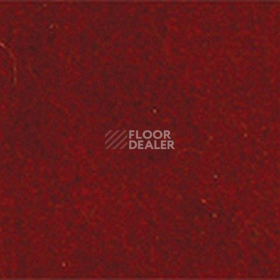 Ковролин Girloon Standard 165 фото 1 | FLOORDEALER