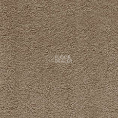 Ковролин AW Softissimo 49 фото 1 | FLOORDEALER