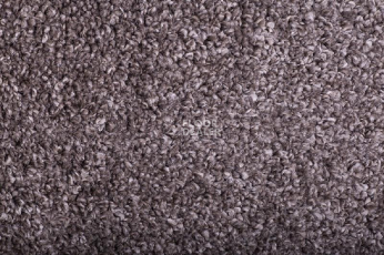 Ковролин Tarkett Diva 11181 фото 1 | FLOORDEALER