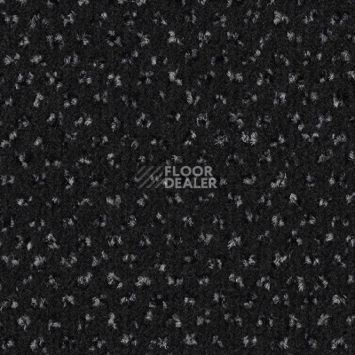 Ковровая плитка Balsan Impression Sonic Confort 998 фото 1 | FLOORDEALER