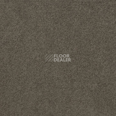 Ковролин Standard Carpets Mountain View 4398 фото 1 | FLOORDEALER