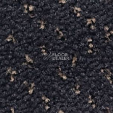 Ковролин Infloor Como 590 фото 1 | FLOORDEALER