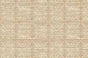 Ковролин Agnella Natural Albit Dark Beige фото  | FLOORDEALER