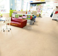 Forbo Marmoleum Marbled Real 2713 Calico фото 2 | FLOORDEALER