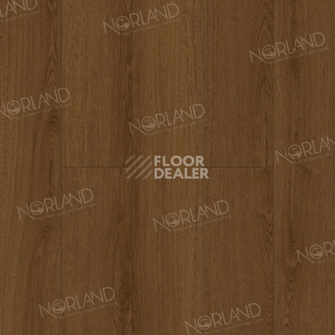 Ламинат Norland Elegant 8мм Дуб Этна LF301-20 фото 1 | FLOORDEALER