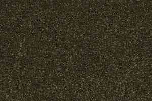 Ковролин Shaw Design Texture Platinum 323 фото  | FLOORDEALER
