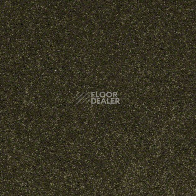 Ковролин Shaw Design Texture Platinum 323 фото 1 | FLOORDEALER