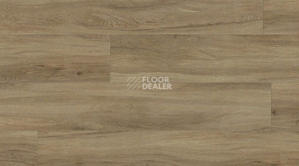 Кварцвиниловые полы Gerflor Creation 55 Clic 0503_quartet фото 1 | FLOORDEALER