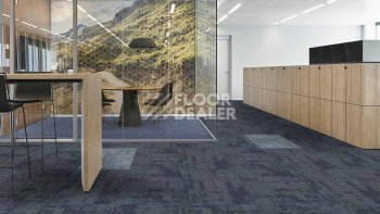 InnovFlor Rebirth 08 фото 2 | FLOORDEALER