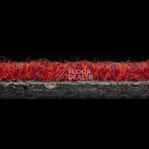 Balsan Trust 570 фото 4 | FLOORDEALER