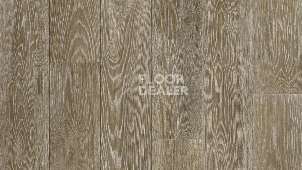 Линолеум Tarkett Philosophy BLANCH 3 фото 1 | FLOORDEALER