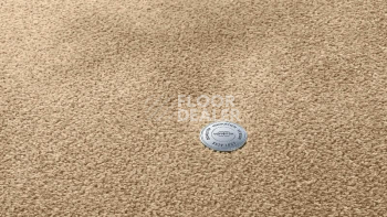 Ковролин Vorwerk Superior 1064/Lyrica Vorwerk 8k02 фото 1 | FLOORDEALER