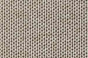 Ковролин Carpet Concept Eco Zen 280005 - 40081 фото  | FLOORDEALER