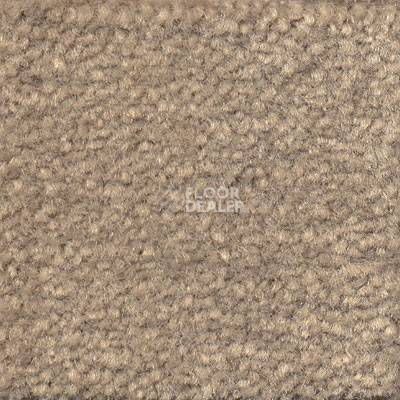 Ковролин Emphatic Beaulieu of America 56510 фото 1 | FLOORDEALER