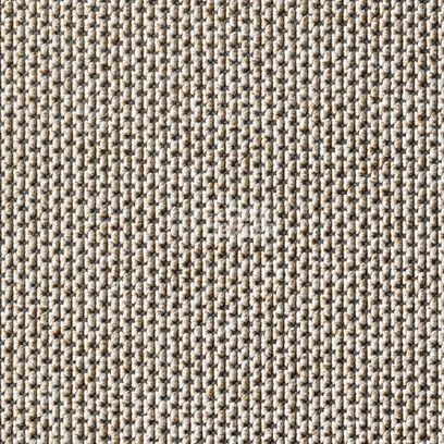 Ковролин Carpet Concept Eco Zen 280005 - 40081 фото 1 | FLOORDEALER