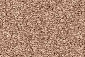 Ковролин Balsan First Class 720 фото  | FLOORDEALER