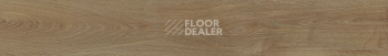 FineFloor FF-1900 Rich 1972 Дуб Тоскана фото 2 | FLOORDEALER
