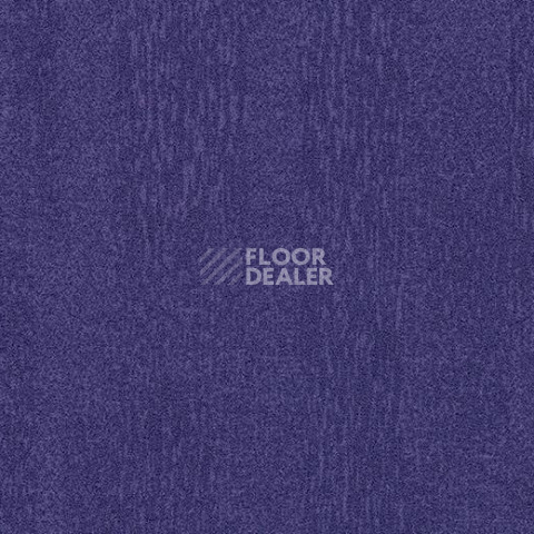Ковровая плитка Forbo Flotex Colour Penang 50*50 t 382024 Penang Purple фото 1 | FLOORDEALER