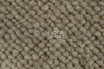 Creatuft Alfa Alfa 40 фото 3 | FLOORDEALER