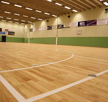 Apoluza Sportfloor pvc Wood 8.5