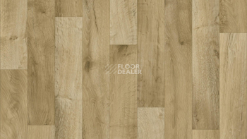 Линолеум Tarkett Philosophy Gea 5 фото 1 | FLOORDEALER