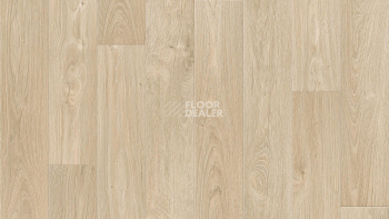 Линолеум Tarkett Craft Ostin 3 фото 1 | FLOORDEALER
