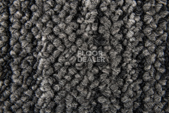 Desso Essence Traces ad 09 9112 фото 3 | FLOORDEALER