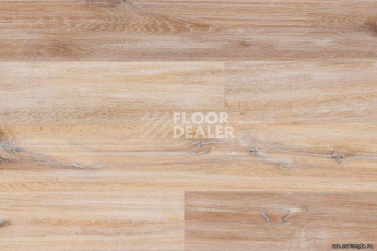 Wood Xl замковое Oak Gekalte New фото 5 | FLOORDEALER