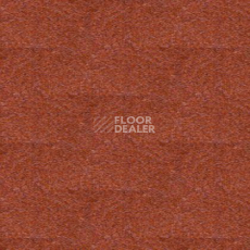 Ковролин Tapibel Spirit 8893 фото 1 | FLOORDEALER