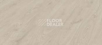 Ламинат Kronotex Aqua Amazone 10мм D3597 Дуб Таймлес бежевый фото 1 | FLOORDEALER