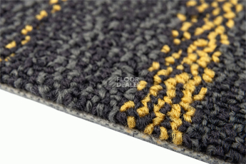 Neuflor Beach 2011-13 + Gold фото 4 | FLOORDEALER