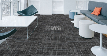 Standard Carpets Casini Casini 579 фото 2 | FLOORDEALER