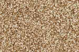 Ковровая плитка Balsan Mezzo 620 фото  | FLOORDEALER