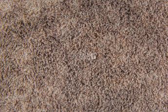 Forbo Flotex Colour Calgary 50*50 t 590023 Calgary Espresso фото 3 | FLOORDEALER