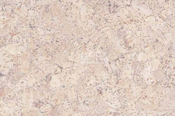 Пробковое покрытие Eco Cork замковое P999 Crème фото 1 | FLOORDEALER