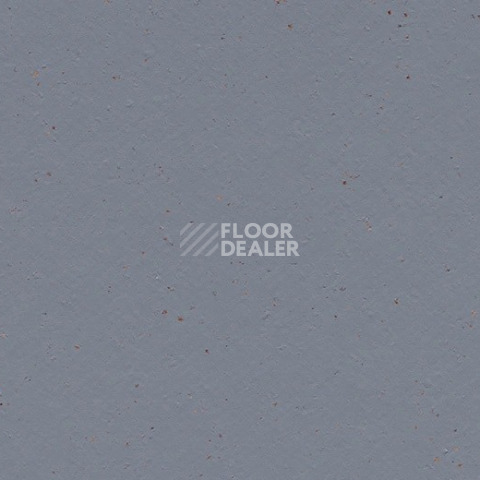 Линолеум Forbo Marmoleum Solid Cocoa 3586 indigo milk фото 1 | FLOORDEALER