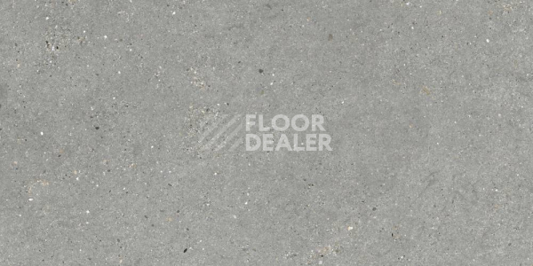 Керамогранит Mitica 60X120 Gris фото 1 | FLOORDEALER