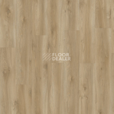 Moduleo Next дерево Torre Oak 847 фото 3 | FLOORDEALER